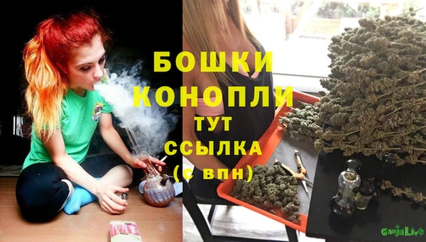 стаф Ельня