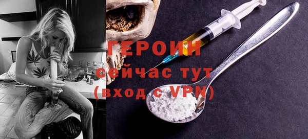 стаф Ельня