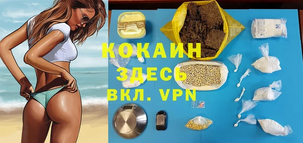 ПСИЛОЦИБИНОВЫЕ ГРИБЫ Дмитров