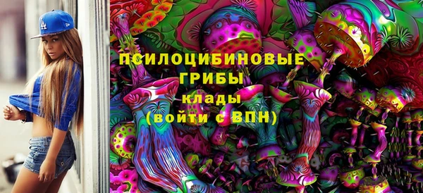 ПСИЛОЦИБИНОВЫЕ ГРИБЫ Дмитров