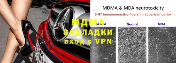 ПСИЛОЦИБИНОВЫЕ ГРИБЫ Дмитров