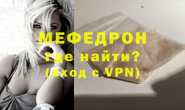 стаф Ельня